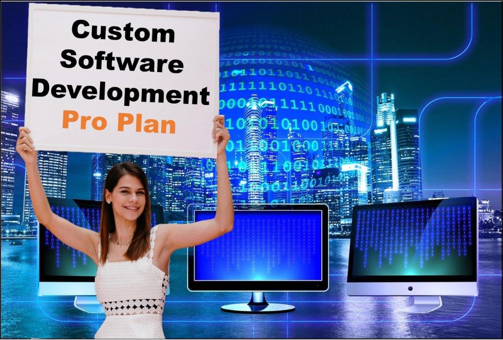 custom software development agency in Saint Paul Minnesota