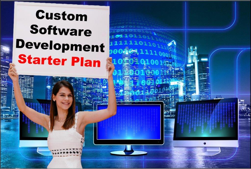 Custom Software Development in Saint Paul Minnesota