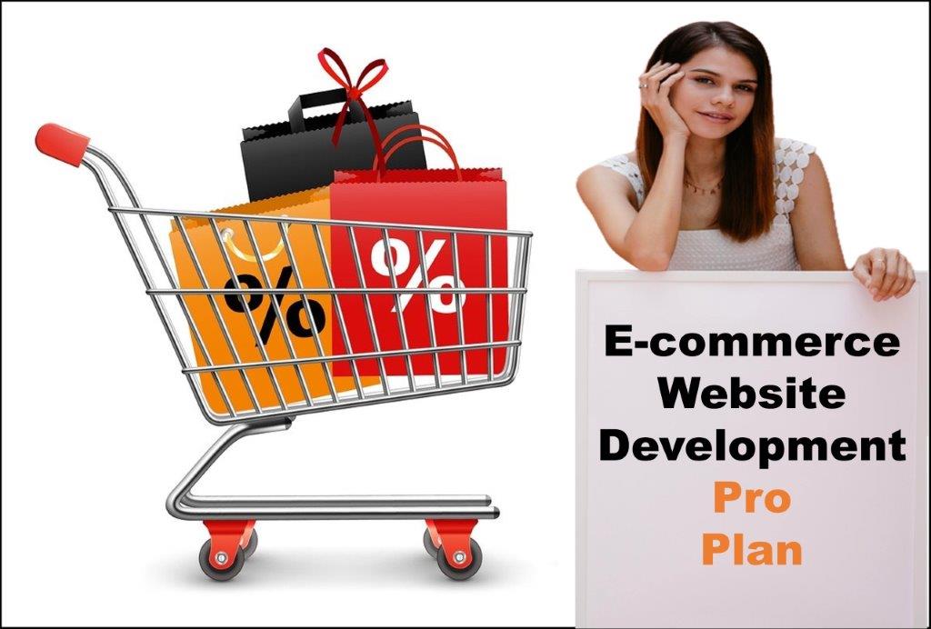 professional ecommerce website development agency in Saint Paul Minnesota
