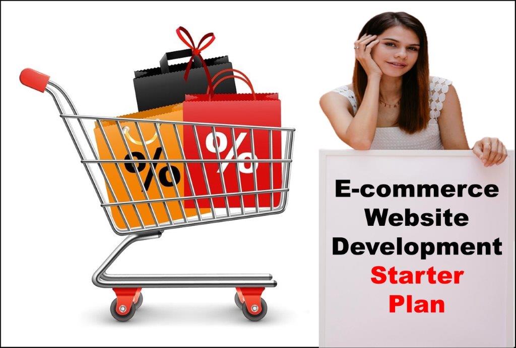 ecommerce website development agency in Saint Paul Minnesota