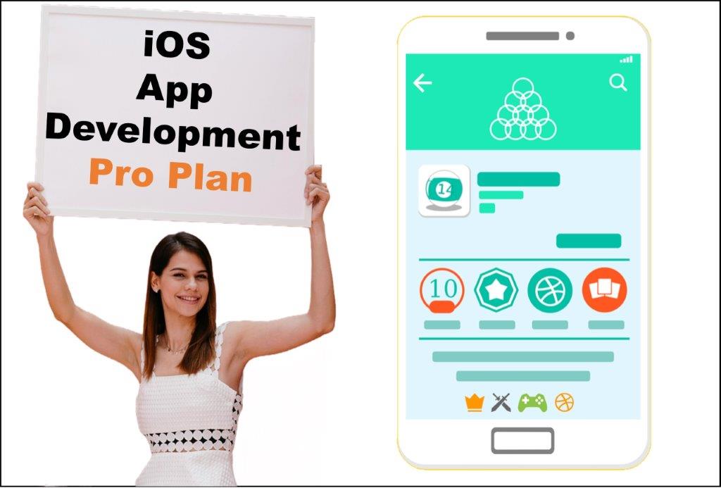 professional ios app development service in Saint Paul Minnesota