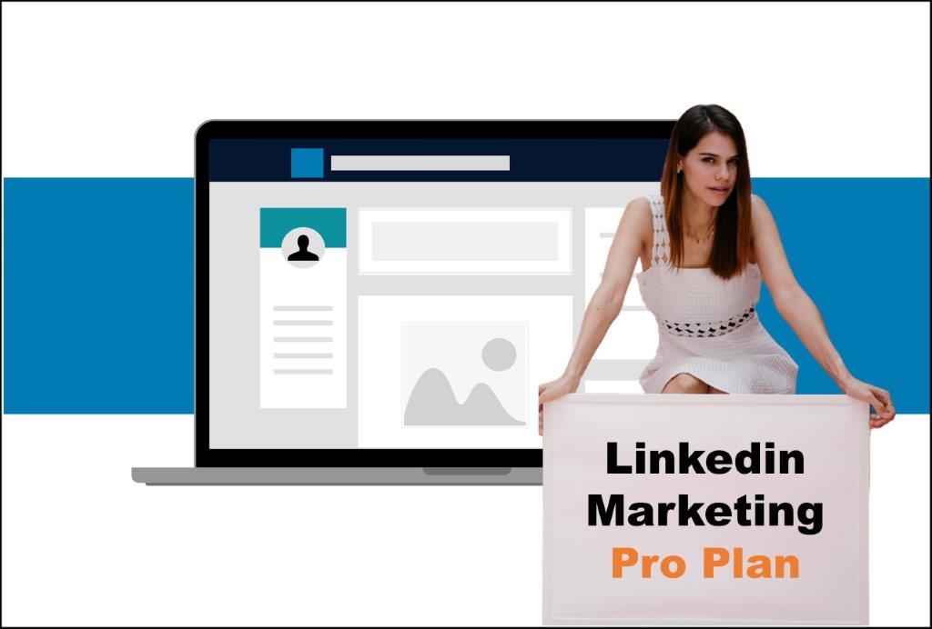 linkedin marketing agency in Saint Paul Minnesota