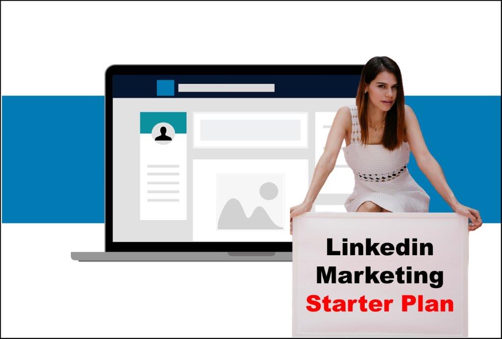 linkedin marketing service provider in Saint Paul Minnesota