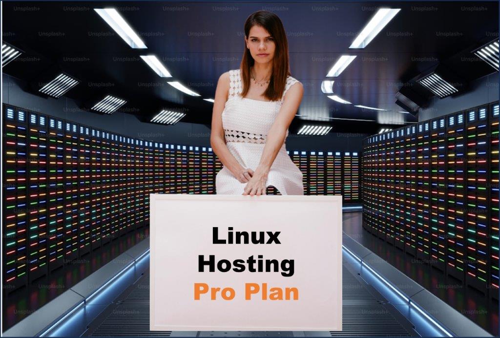 linux hosting windows hosting provider in Saint Paul Minnesota