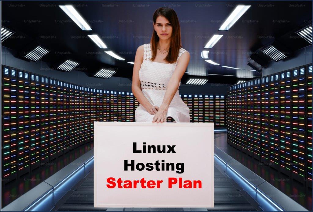 linux hosting windows hosting provider in Saint Paul Minnesota