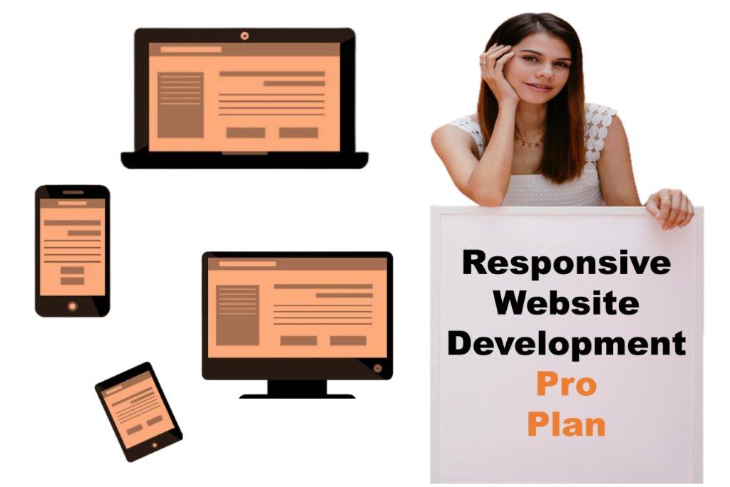 expert responsive website development agency in Saint Paul Minnesota