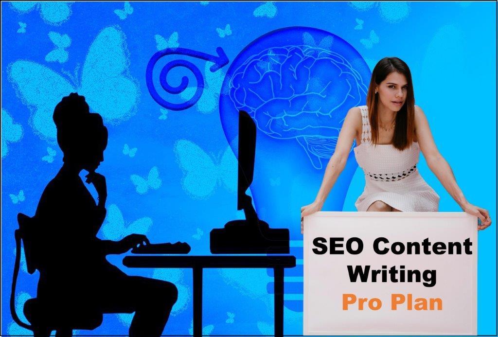 seo content writing agency Saint Paul Minnesota