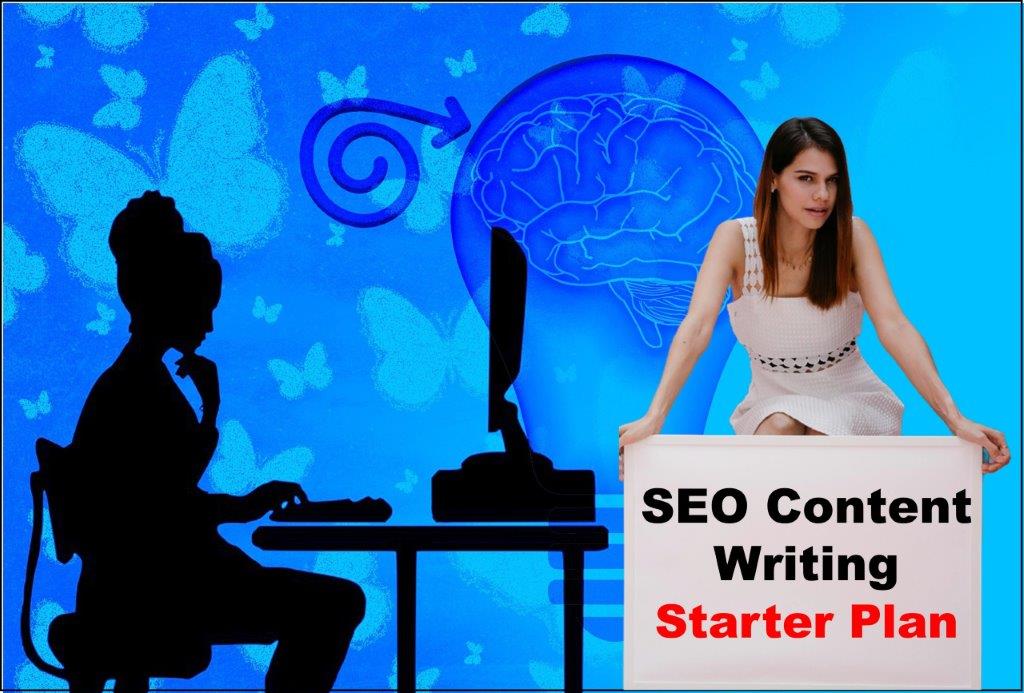 seo content writing service provider in Saint Paul Minnesota