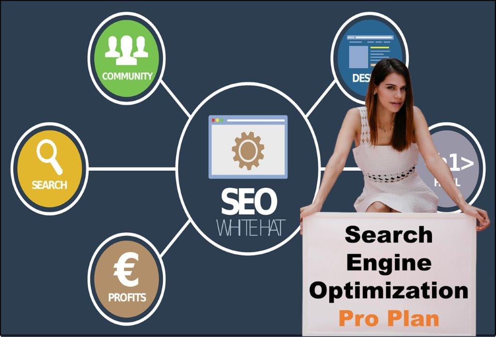 seo company Saint Paul Minnesota