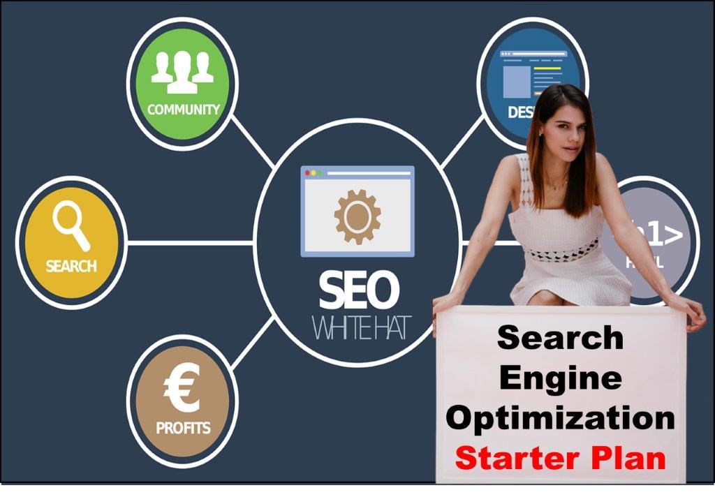 seo service provider in Saint Paul Minnesota
