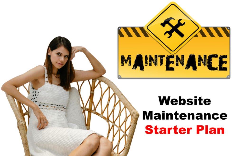 Website Maintenance in Saint Paul Minnesota