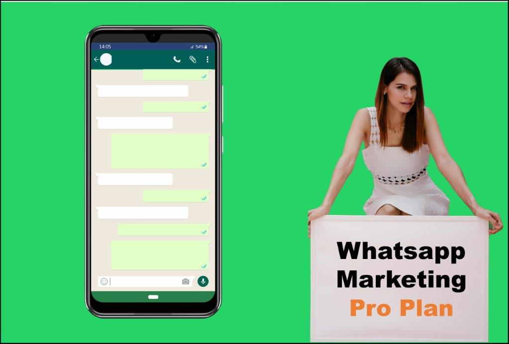 whatsapp marketing agency in Saint Paul Minnesota