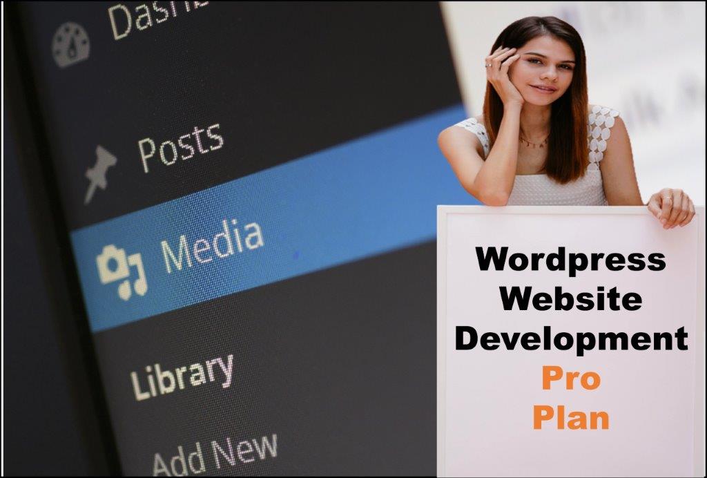 wordpress website designing in Saint Paul Minnesota
