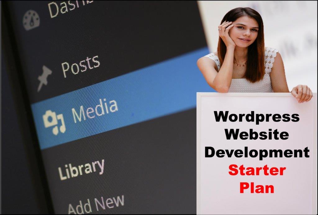 Wordpress Website Development in Saint Paul Minnesota
